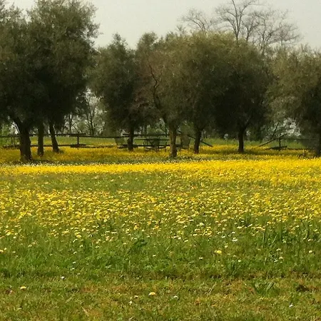 Garda Country House A Casa Di Isabella 2* Lonato