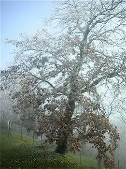 Bed & Breakfast Garda Country House A Casa Di Isabella Lonato